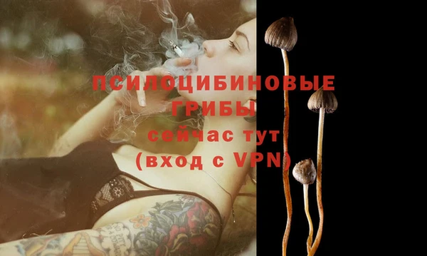 соль курить ск Губаха